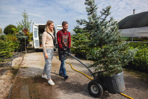Best Lawn Watering Services  in Perry, IA